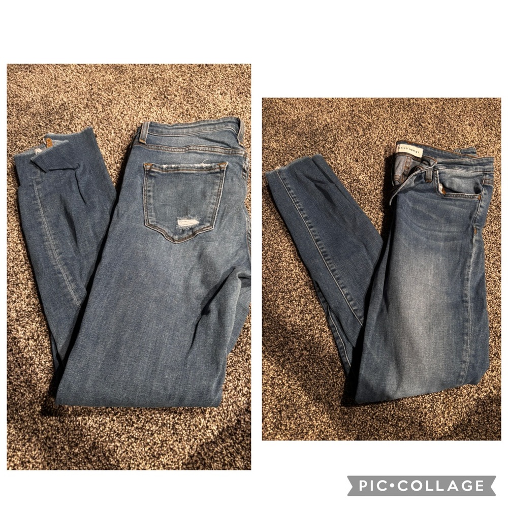 Flying Monkey Blue Skinny Jeans